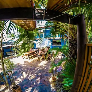 Hostel Cool Bananas Backpackers 